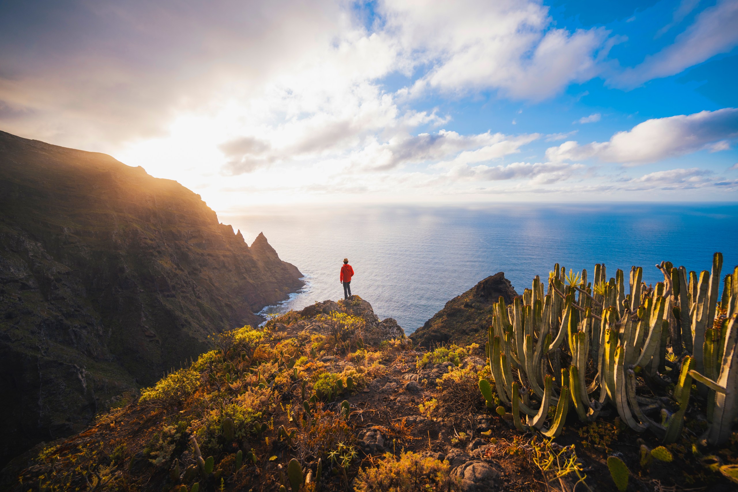 A visitor on the Anaga coast in Tenerife