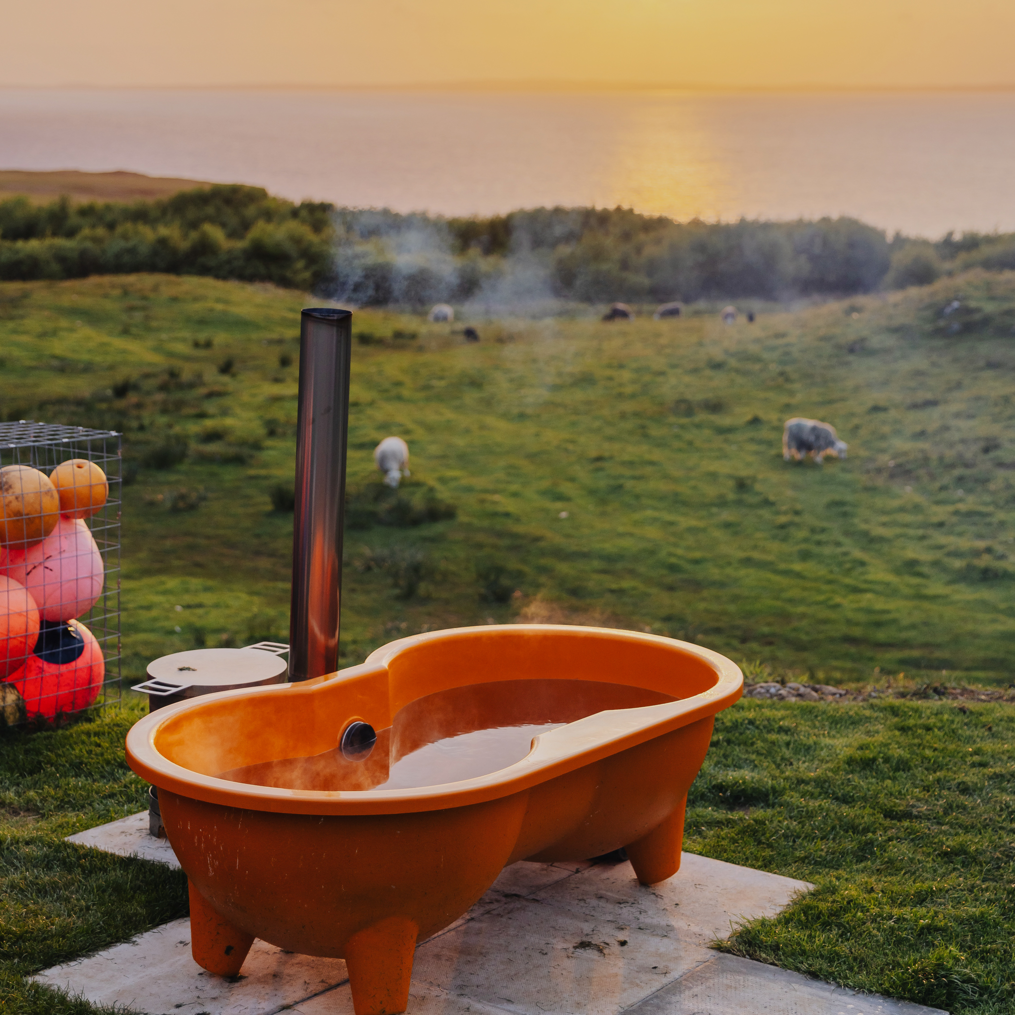 a bathtub in a field with sheep in the background